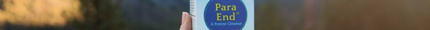 Customer Success Story: ParaEnd Travel Support