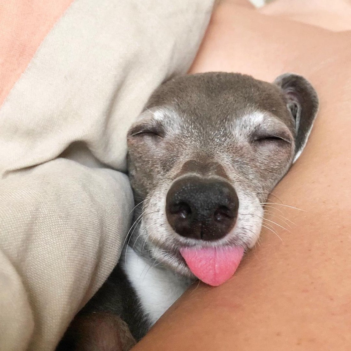 8 Tips To Sleep Better At Night