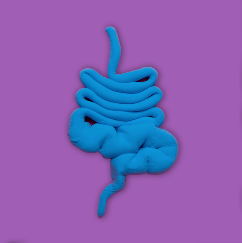 The Truth About Candida and Leaky Gut: Are They Even Real?