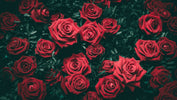 20 Ways to Love Yourself this Valentine's Day