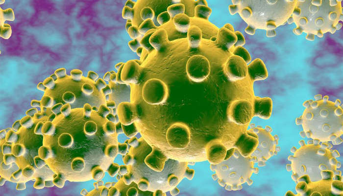 Immune Support During a Viral Outbreak