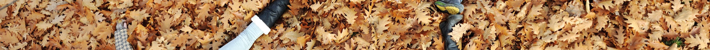 Four Fantastic Fall Supplements