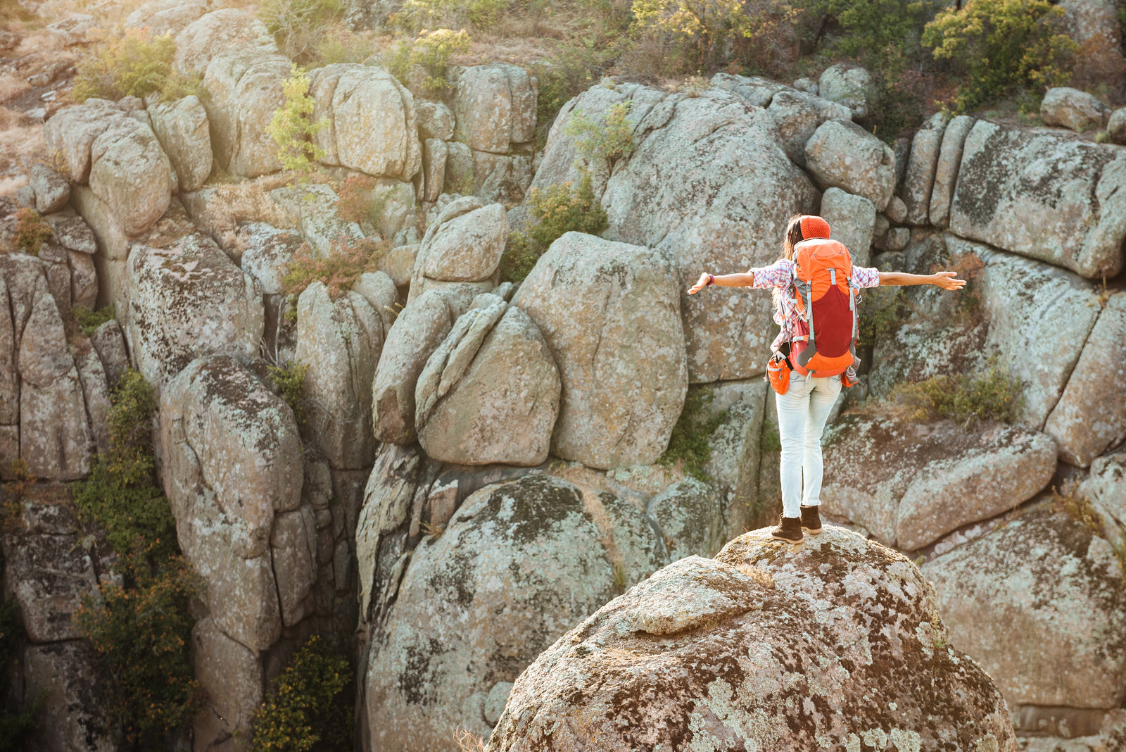 Probiotics for the Professional Traveler