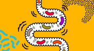 Gut Health and Immunity