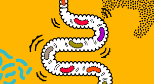 Gut Health and Immunity