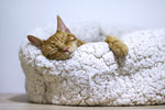 6 Better Sleep Habits for Gen Z