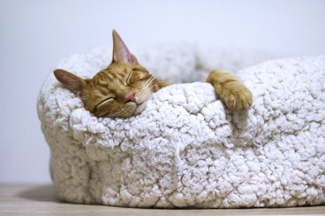 6 Better Sleep Habits for Gen Z