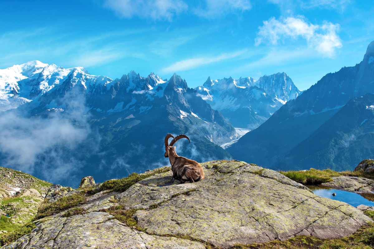 3 Easy Ways To Destress and Unwind