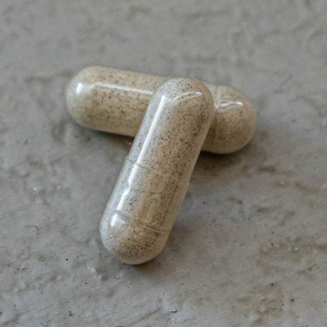 Probiotics vs Digestive Enzymes NBPure