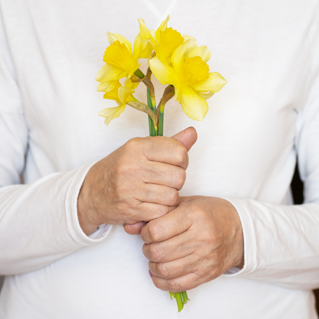 Gut Health During Menopause