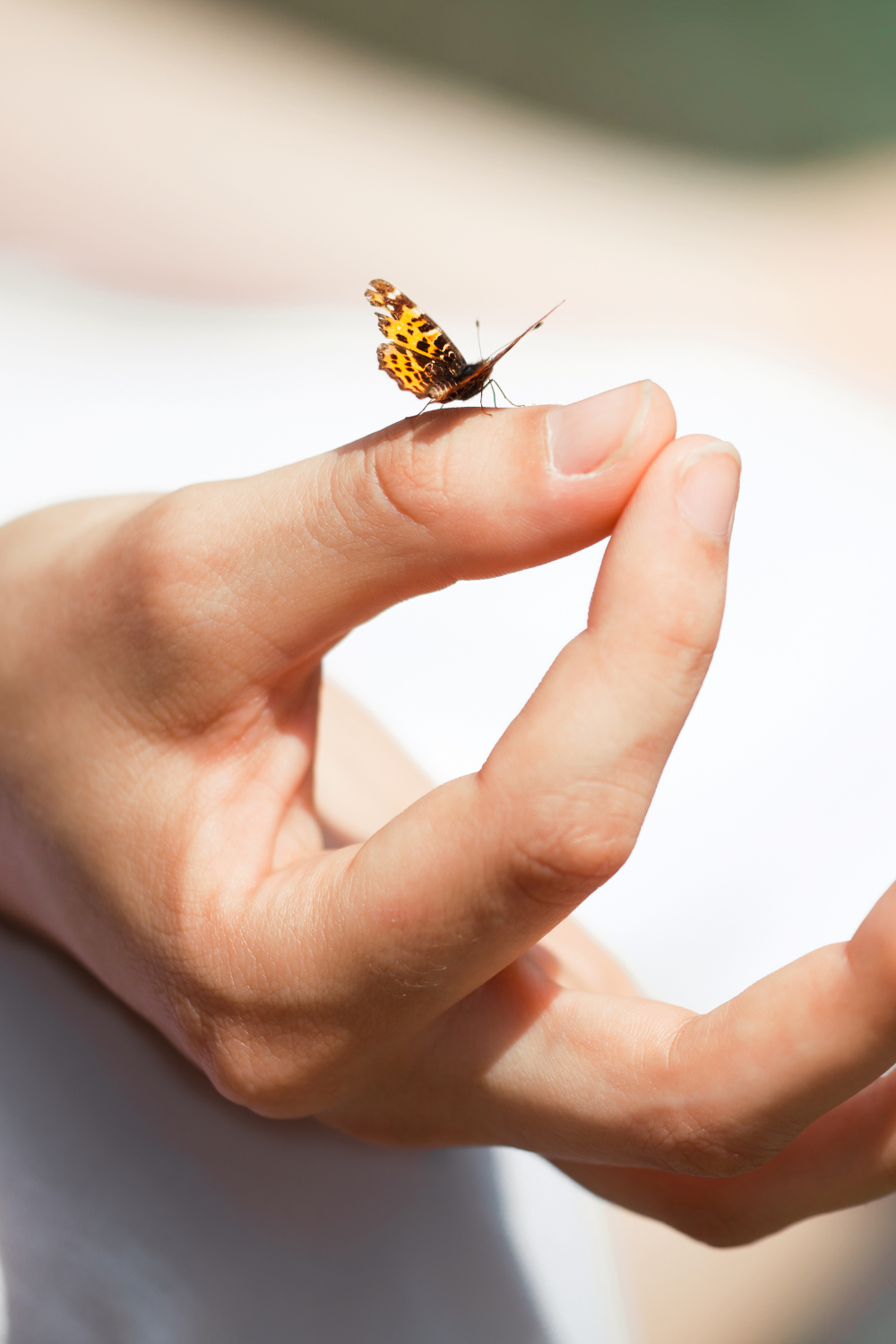 Ultimate Stress Relief Kit: Toys, Supplements, and Gifts for Better Stress Relief Care Packages