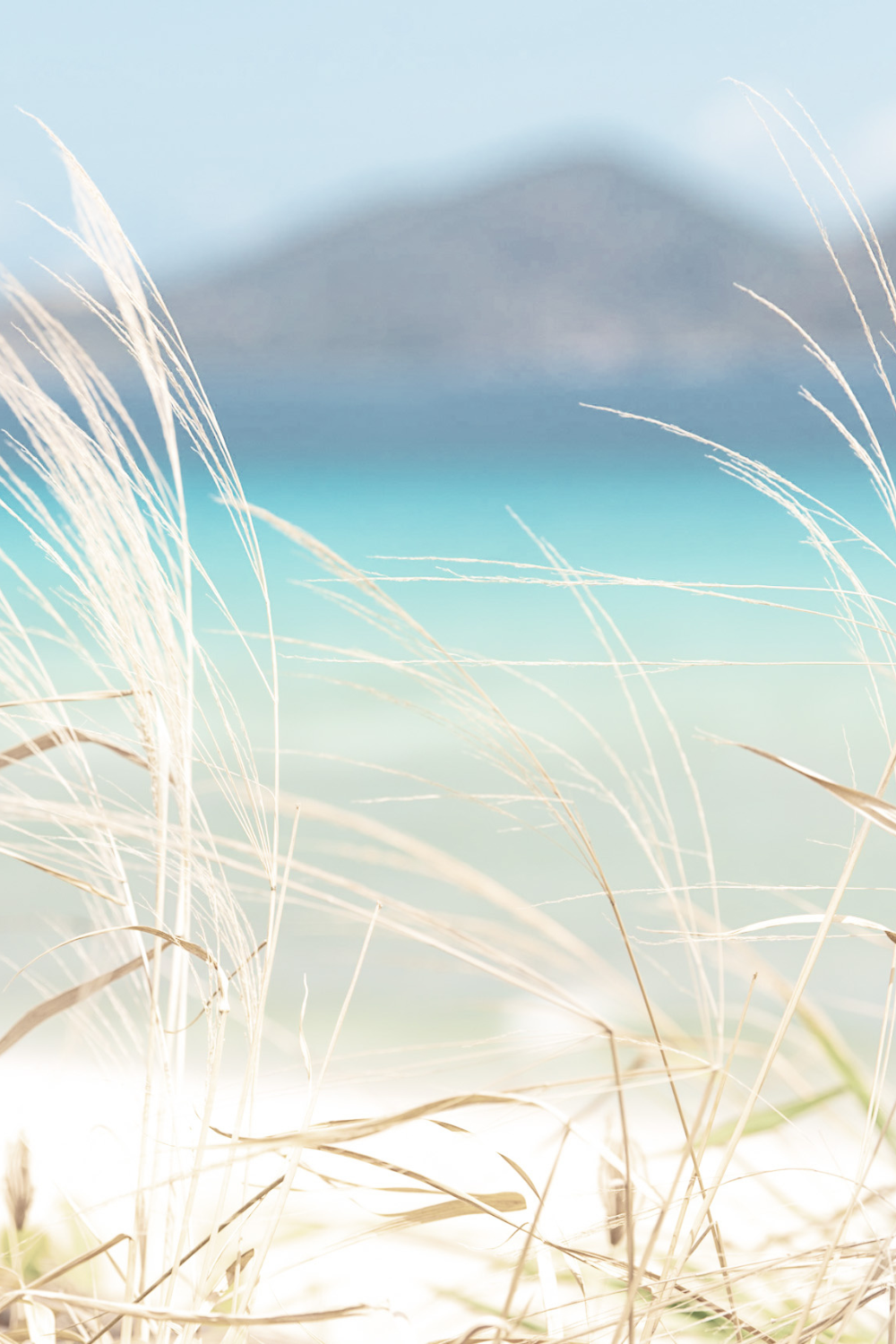 Comparing Stress Relief Supplements: Which Type of B Vitamin Complex is Best?