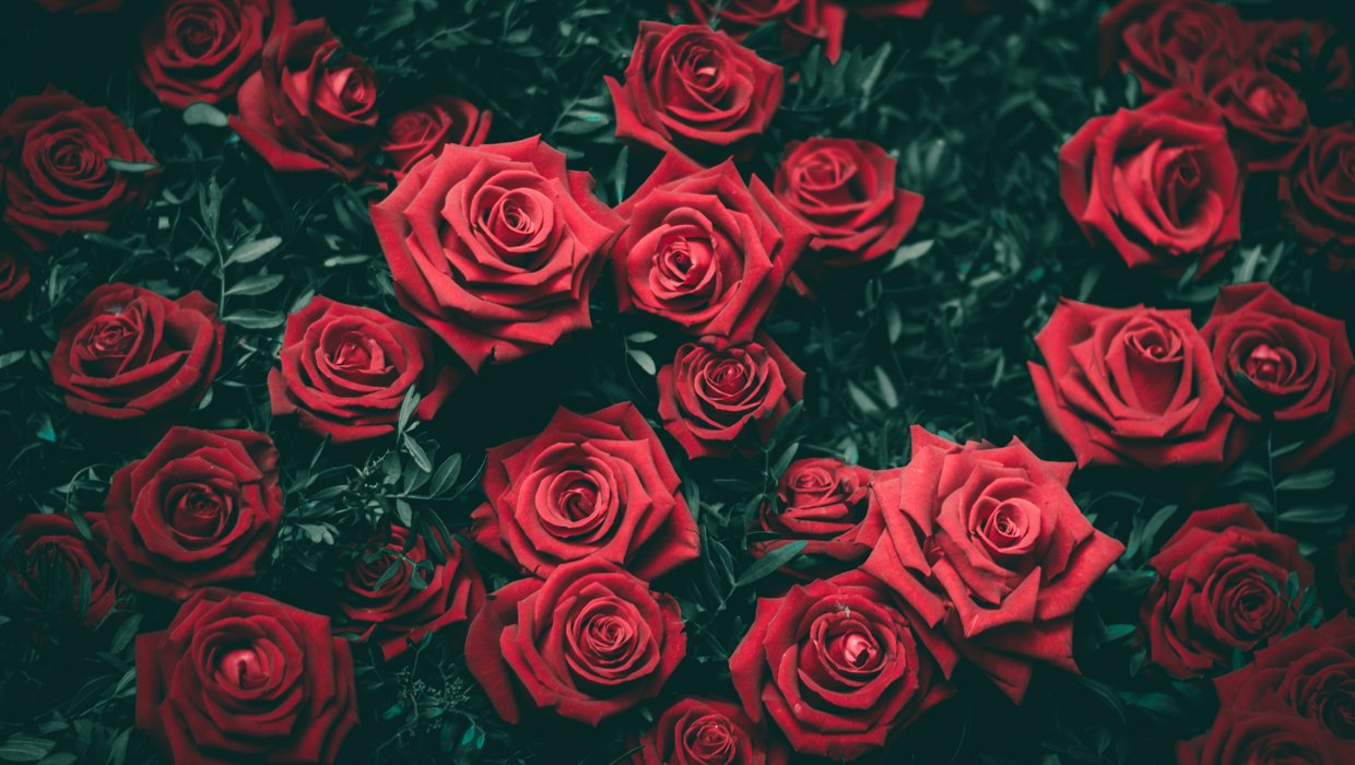 20 Ways to Love Yourself this Valentine's Day