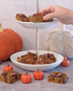 Easy Gluten Free Pumpkin Protein Bars Recipe
