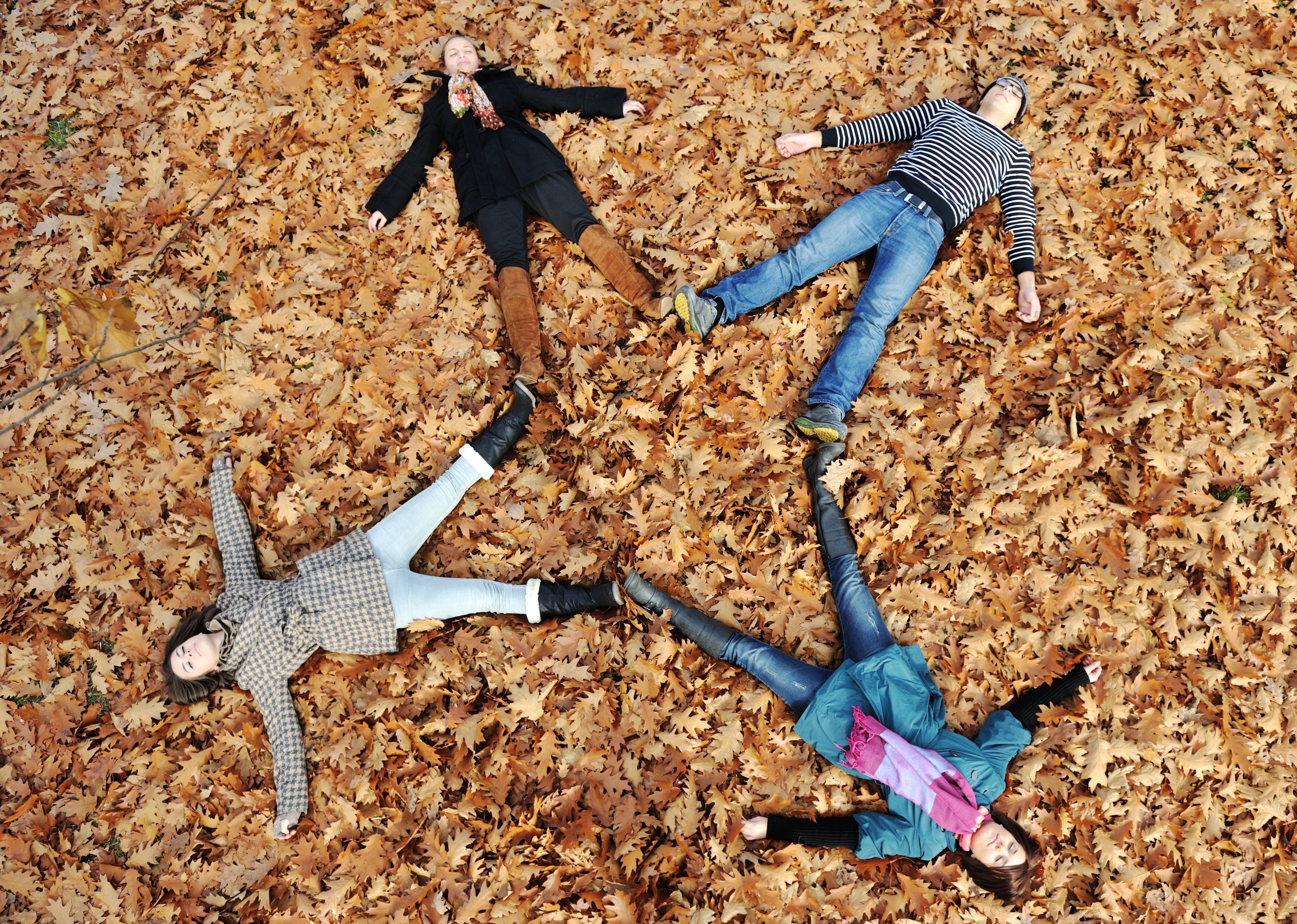 Four Fantastic Fall Supplements