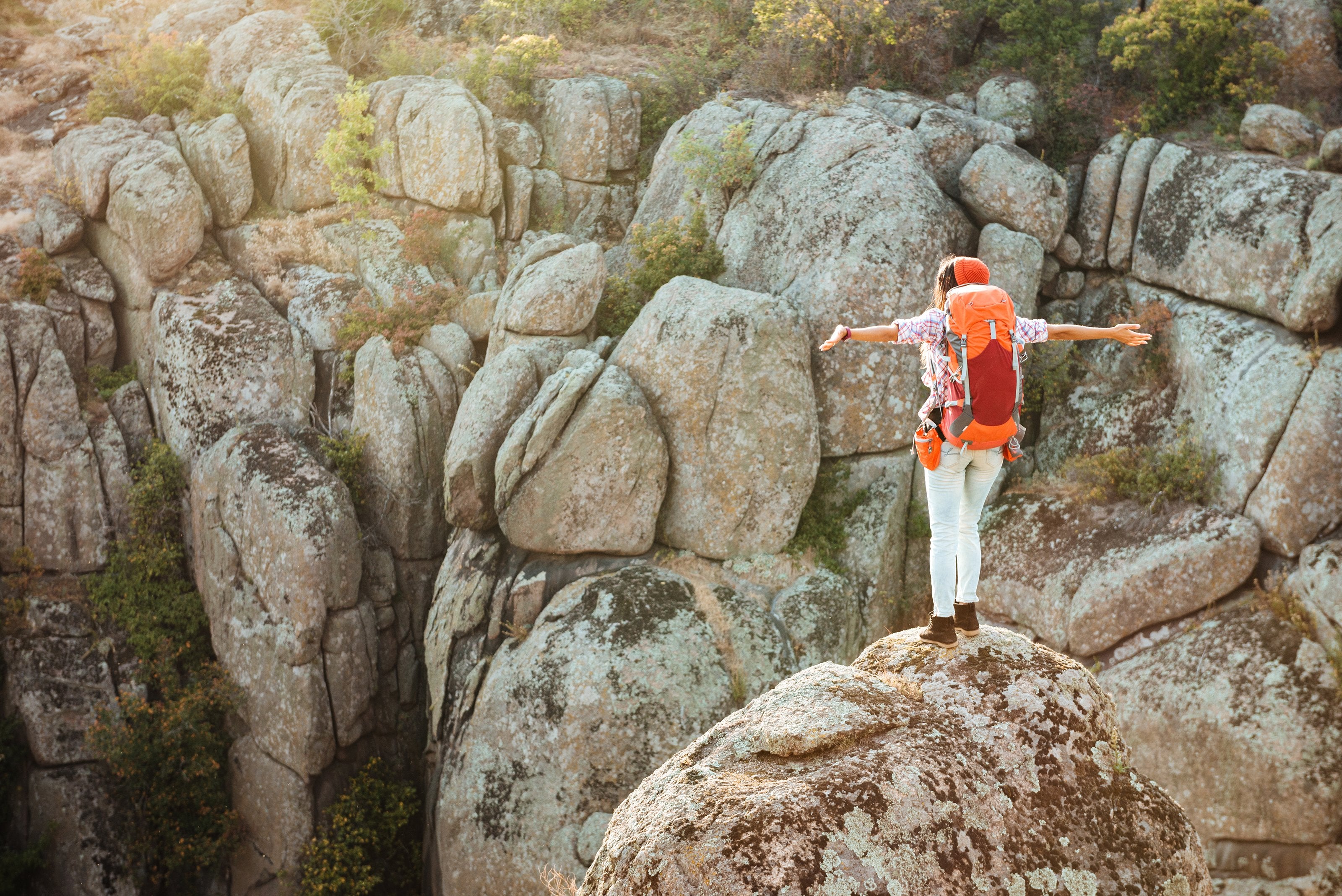Probiotics for the Professional Traveler