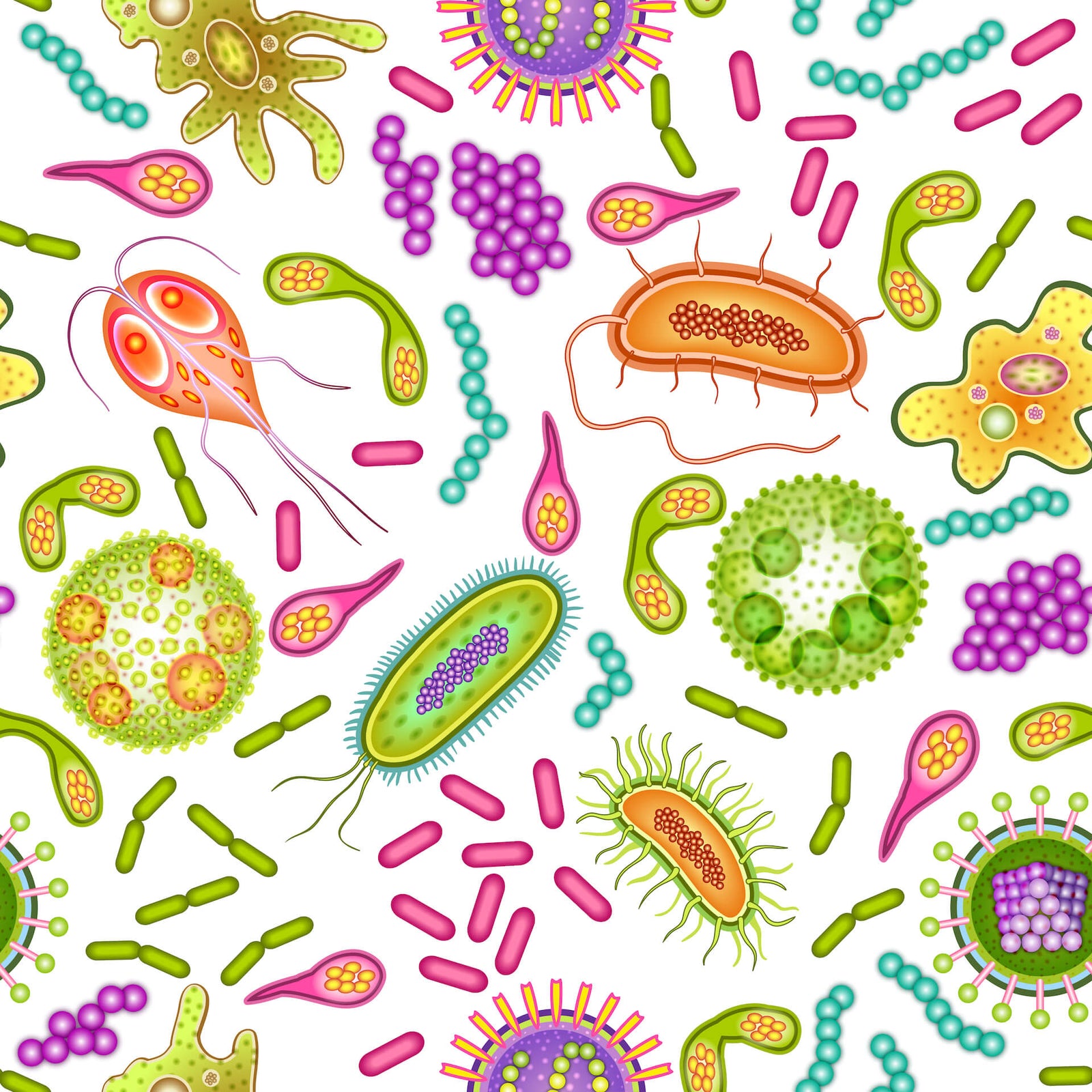 microbiome bacteria picture. Image by macrovector on Freepik.