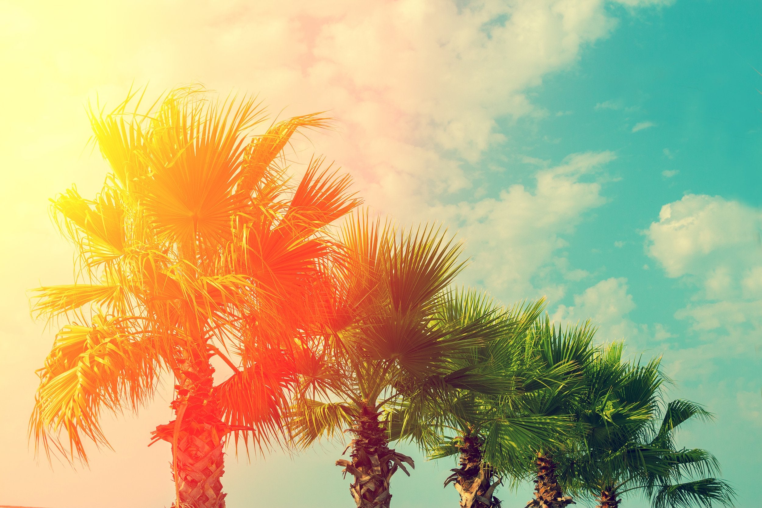 How To Keep A Flat Tummy All Summer