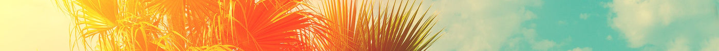 How To Keep A Flat Tummy All Summer