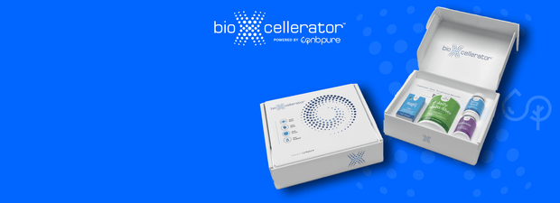 <h2>Supplement Support Protocol</h2>