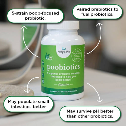 NBPure Regularity Duo