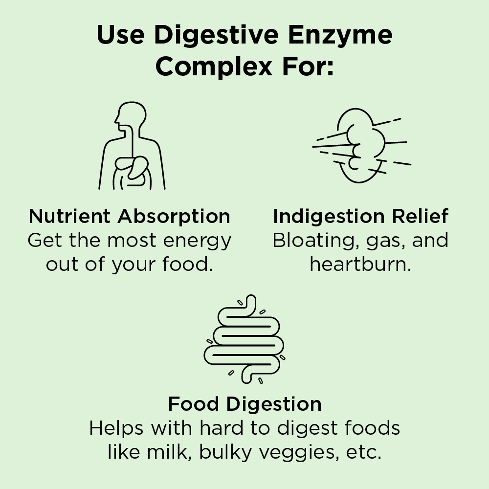 Digestive Enzyme Complex: Best Natural Digestive Enzymes Supplement ...