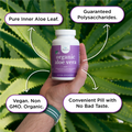 NB Pure Organic Aloe Vera